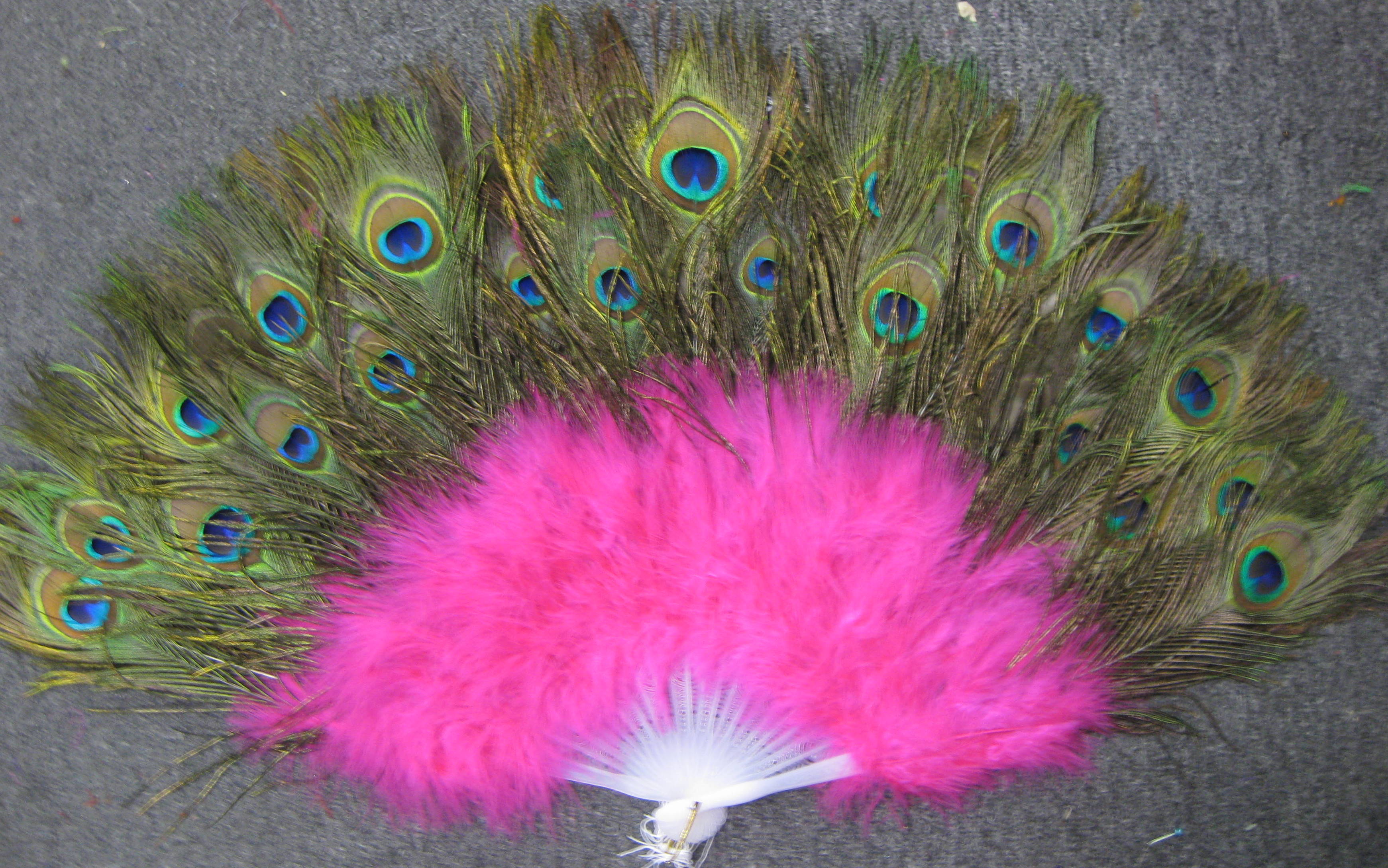 PEACOCK FEATHER FAN